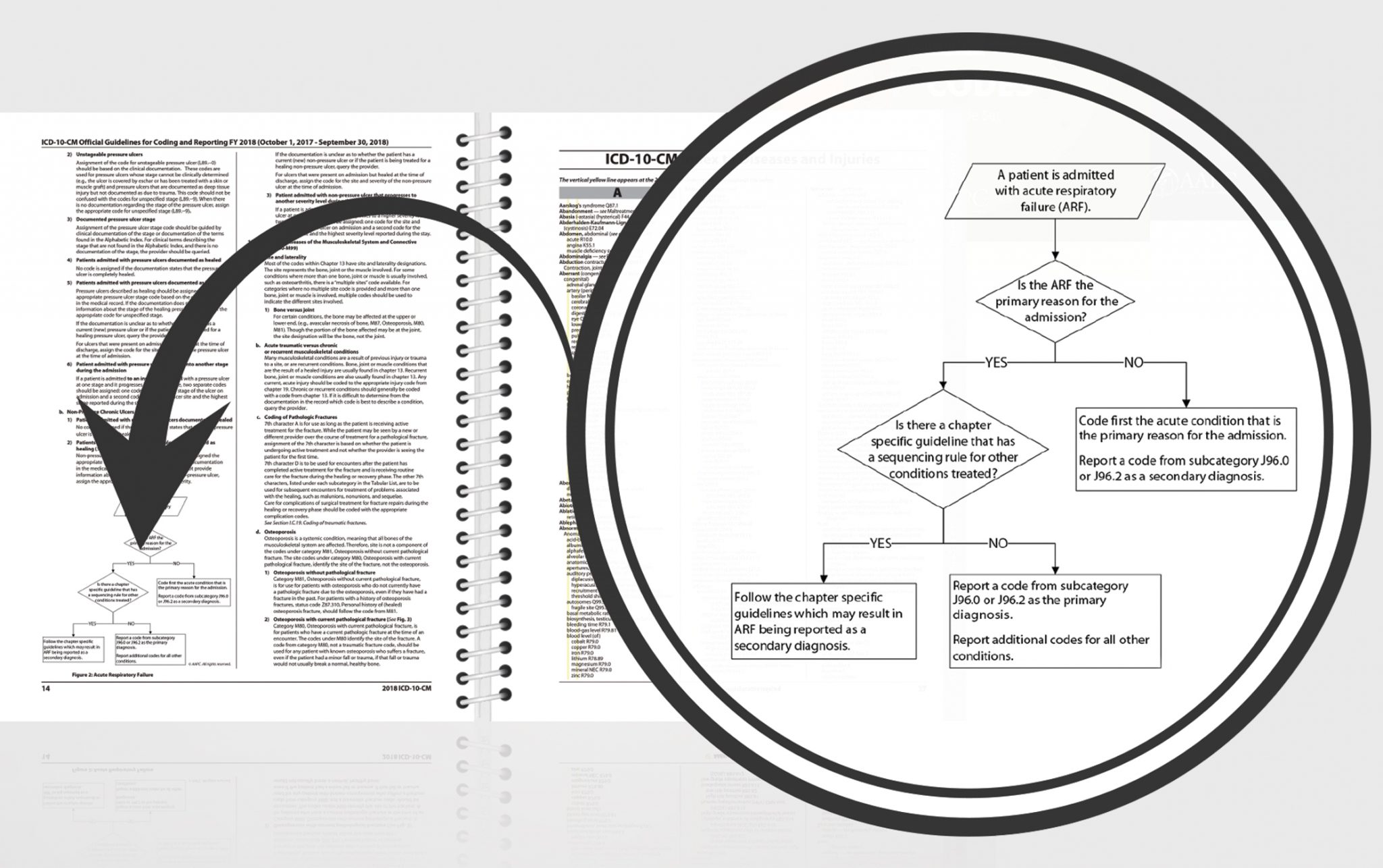 AAPC Tweaks 2019 Code Books To Suit Your Needs AAPC Knowledge Center