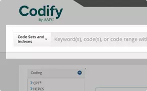 codify Search bar