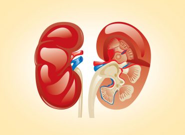 CMS Proposes to Extend Medicare Coverage of Immunosuppressive Drugs for Kidney Transplant Recipients