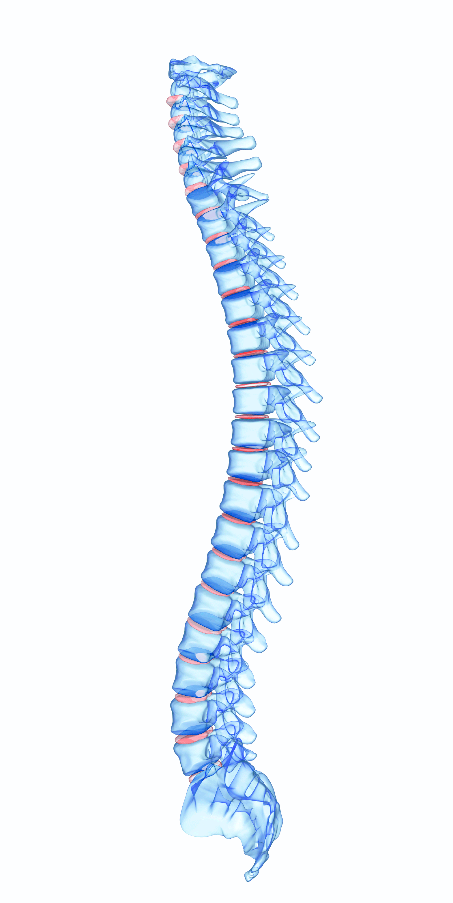 Solidify Your Vertebroplasty and Kyphoplasty Coding AAPC Knowledge Center