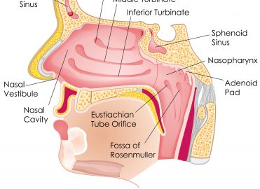 Examine Nasal Endoscopy Claims for Compliance