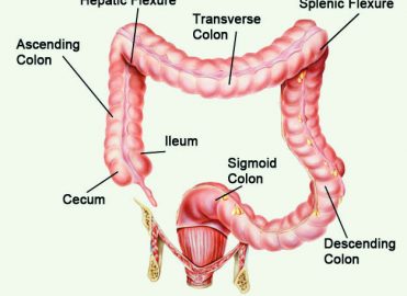 splenic flexure