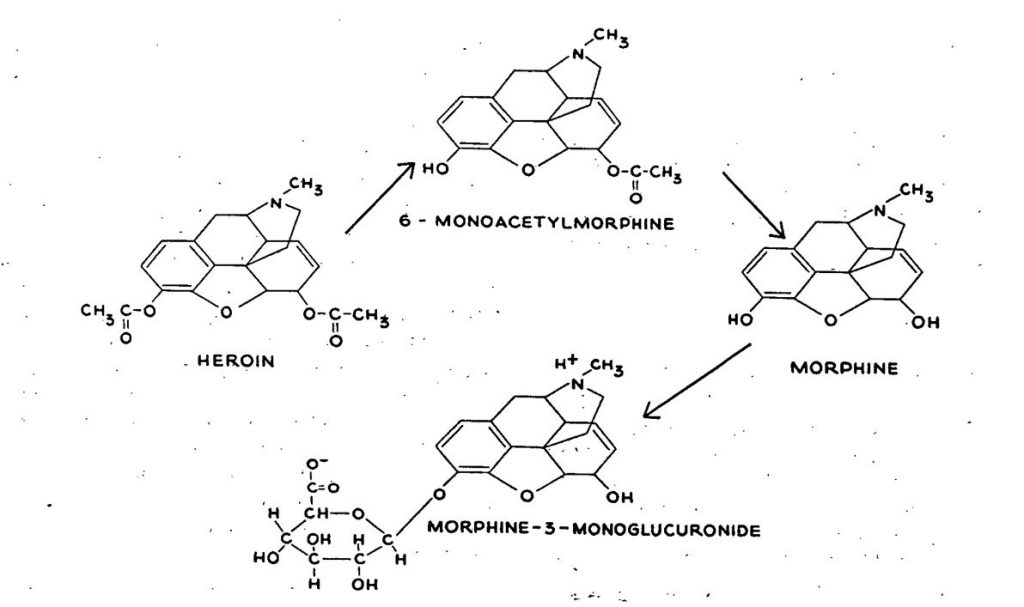 Defining Definitive Drug Testing Codes AAPC Knowledge Center