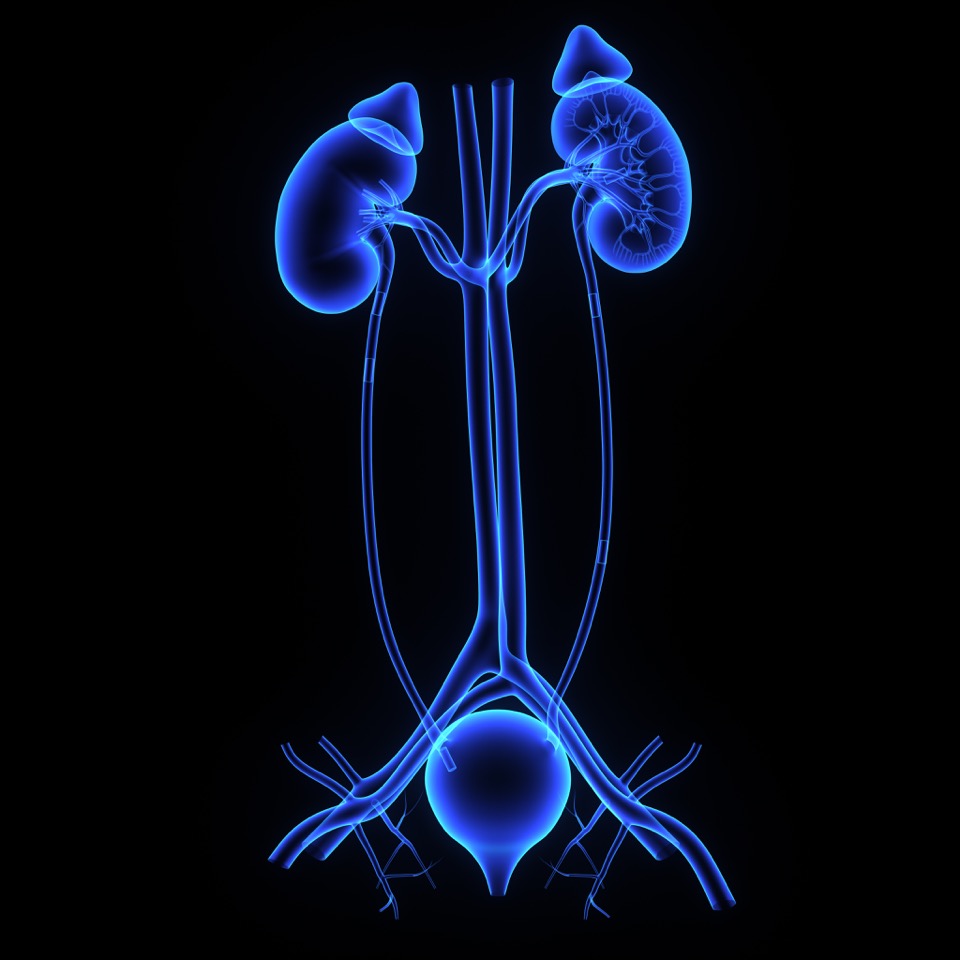 Blue light cystoscopy cpt code shelly lighting