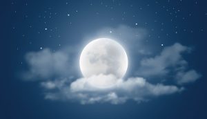 MOON form update