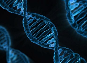 New Specialty Code for Genetics and Genomics New Specialty Code for Genetics and Genomics
