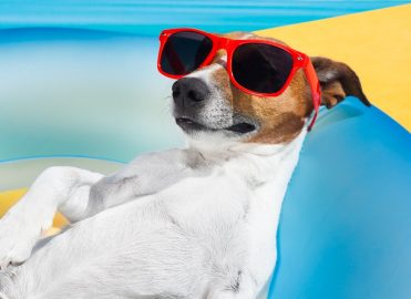 Keep Your Cool with July's Coding and Billing Challenges Keep Your Cool with July's Coding and Billing Challenges