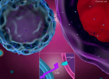 Coding CAR-T: Cancer Treatment Revolutionized Coding CAR-T: Cancer Treatment Revolutionized