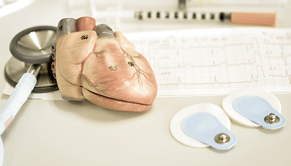 Wood heart and cardiac equipment
