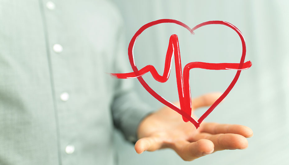 Audits heartbeat compliance program