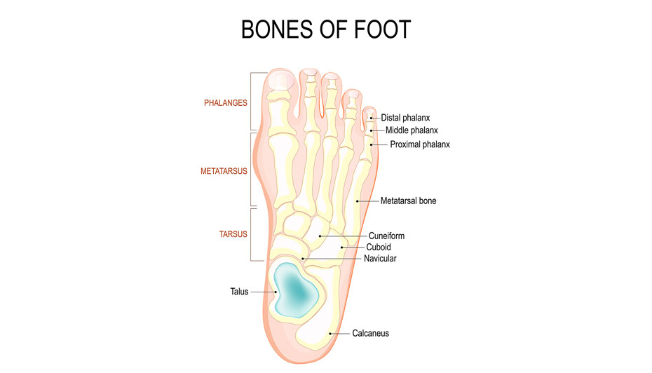 icd 10 code for chronic osteomyelitis of right foot