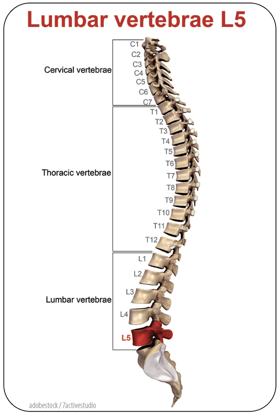 Correctly Identify Low Back Pain AAPC Knowledge Center