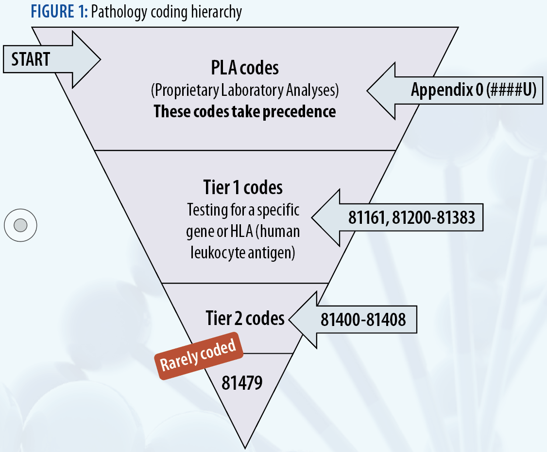 Coding Molecular Pathology Is a Science - AAPC Knowledge Center