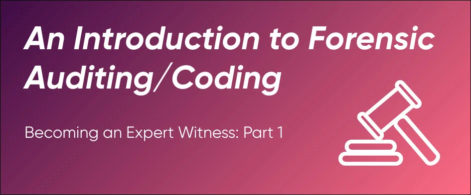 Introduction to Forensic Auditing/Coding 