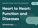 Heart to Heart: Function and Diseases